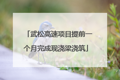 武松高速项目提前一个月完成现浇梁浇筑