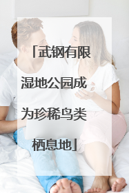 武钢有限湿地公园成为珍稀鸟类栖息地