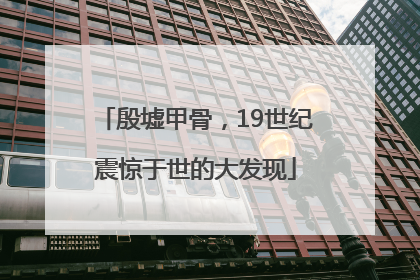 殷墟甲骨，19世纪震惊于世的大发现