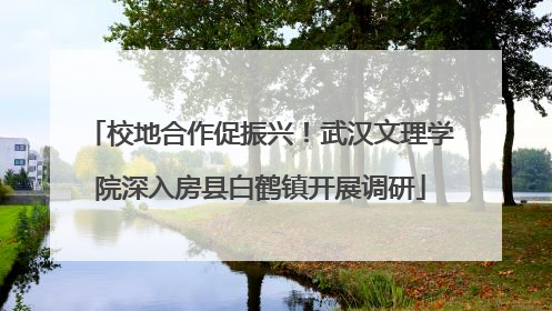 校地合作促振兴！武汉文理学院深入房县白鹤镇开展调研