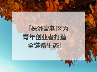 株洲高新区为青年创业者打造全链条生态
