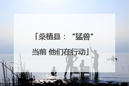 桑植县：“猛兽”当前 他们在行动
