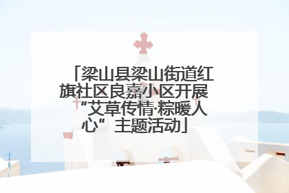 梁山县梁山街道红旗社区良嘉小区开展“艾草传情·粽暖人心”主题活动