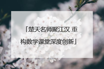 楚天名师聚江汉 重构数学课堂深度创新