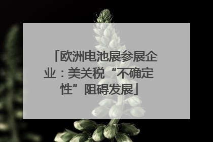 欧洲电池展参展企业：美关税“不确定性”阻碍发展
