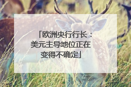 欧洲央行行长：美元主导地位正在变得不确定