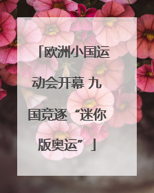 欧洲小国运动会开幕 九国竞逐“迷你版奥运”