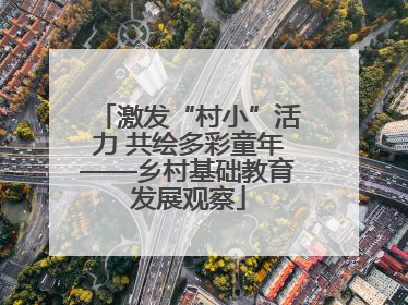 激发“村小”活力 共绘多彩童年——乡村基础教育发展观察