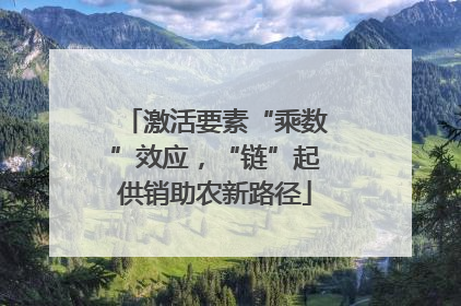 激活要素“乘数”效应，“链”起供销助农新路径