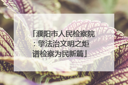 濮阳市人民检察院：擎法治文明之炬 谱检察为民新篇