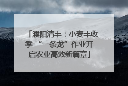 濮阳清丰：小麦丰收季 “一条龙”作业开启农业高效新篇章