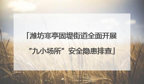 潍坊寒亭固堤街道全面开展“九小场所”安全隐患排查