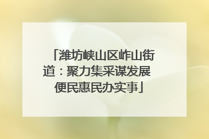 潍坊峡山区岞山街道：聚力集采谋发展 便民惠民办实事