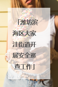 潍坊滨海区大家洼街道开展安全巡查工作