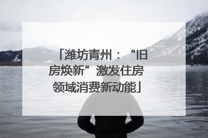 潍坊青州：“旧房焕新”激发住房领域消费新动能