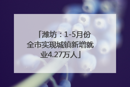 潍坊：1-5月份全市实现城镇新增就业4.27万人