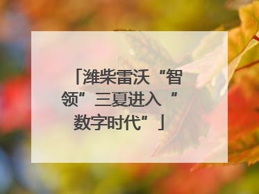 潍柴雷沃“智领”三夏进入“数字时代”