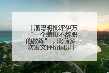 潘粤明批评伊万“一个装傻不辞职的教练”，此前多次发文评价国足