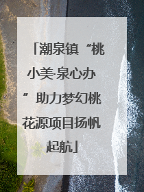 潮泉镇“桃小美·泉心办”助力梦幻桃花源项目扬帆起航