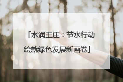 水润王庄：节水行动绘就绿色发展新画卷