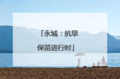 永城：抗旱保苗进行时