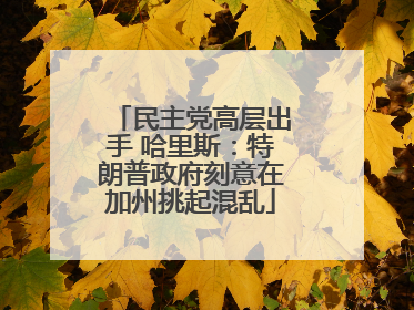 民主党高层出手 哈里斯：特朗普政府刻意在加州挑起混乱