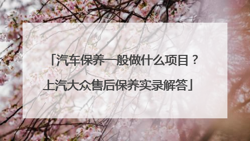 汽车保养一般做什么项目？上汽大众售后保养实录解答