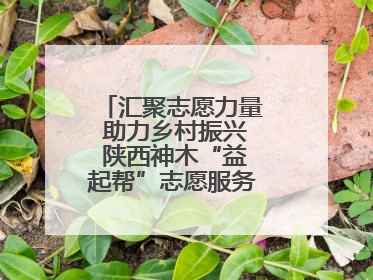 汇聚志愿力量 助力乡村振兴 陕西神木“益起帮”志愿服务项目成效显著