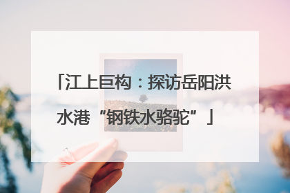 江上巨构：探访岳阳洪水港“钢铁水骆驼”