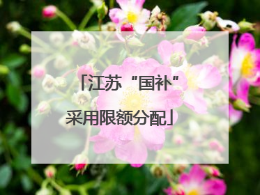 江苏“国补”采用限额分配