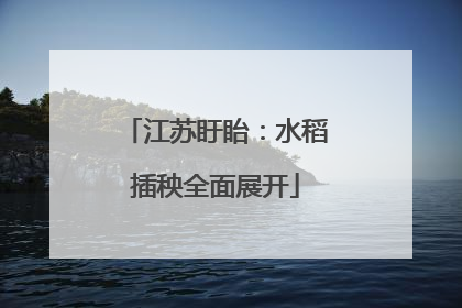 江苏盱眙：水稻插秧全面展开