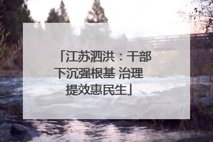 江苏泗洪：干部下沉强根基 治理提效惠民生