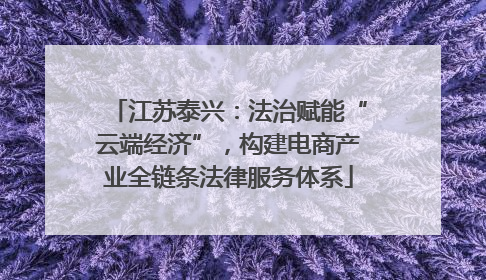 江苏泰兴：法治赋能“云端经济”，构建电商产业全链条法律服务体系