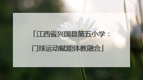 江西省兴国县第五小学：门球运动赋能体教融合