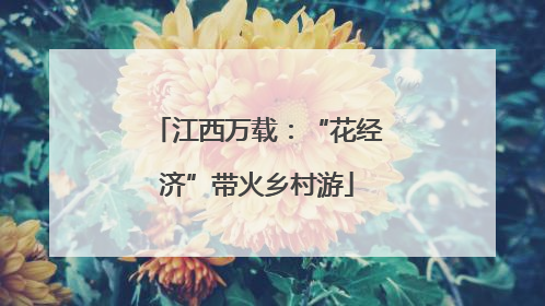 江西万载：“花经济”带火乡村游