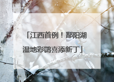 江西首例！鄱阳湖湿地彩鹮喜添新丁