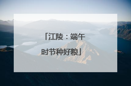 江陵：端午时节种好粮