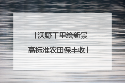 沃野千里绘新景 高标准农田保丰收
