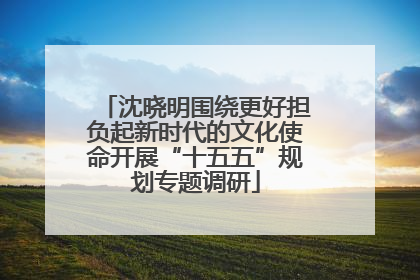 沈晓明围绕更好担负起新时代的文化使命开展“十五五”规划专题调研