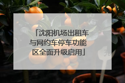 沈阳机场出租车与网约车停车功能区全面升级启用