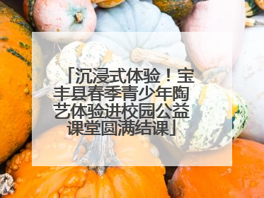 沉浸式体验！宝丰县春季青少年陶艺体验进校园公益课堂圆满结课