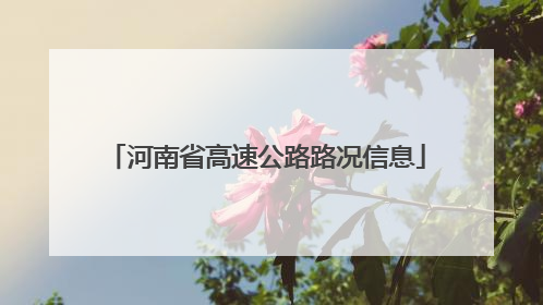 河南省高速公路路况信息