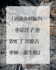河南乡村振兴：枣花开了 枣农忙了 川塬古枣林一派生机