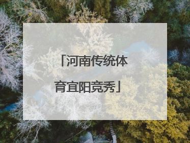 河南传统体育宜阳竞秀