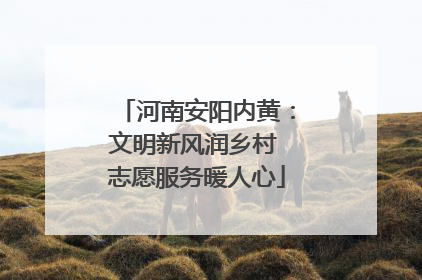 河南安阳内黄：文明新风润乡村 志愿服务暖人心
