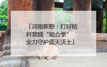 河南新野：打好秸秆禁烧“组合拳” 全力守护蓝天沃土