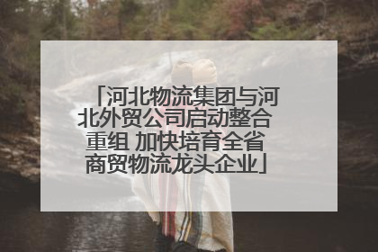 河北物流集团与河北外贸公司启动整合重组 加快培育全省商贸物流龙头企业