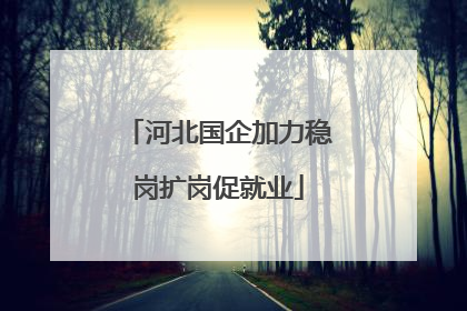 河北国企加力稳岗扩岗促就业