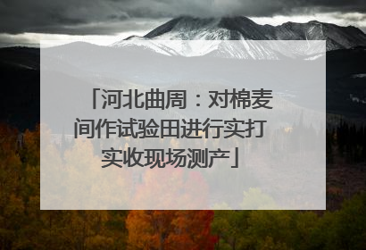河北曲周：对棉麦间作试验田进行实打实收现场测产