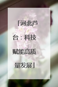 河北芦台：科技赋能高质量发展